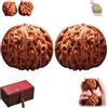 Generico Chinese Walnuts Fidget,2 PCS Walnuts,Chinese Exercise Walnut for Hand Training,Hand Health Care Stress Relief Massage Ball Walnut with Gift Box & Brush (1SET)