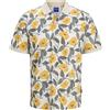 JACK & JONES Camicia Polo all Over Print | Regular Fit, All Over Print, Maniche corte, Beachwear, Temperatura massima di 40°C ciclo molto delicato