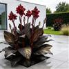 IFGFJR Canna Indica Rara/Perenne Indurito/Rizoma di Canna Indica/Rara/Bassa Manutenzione/Decorazione d'Interni-5bulbi-B