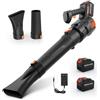 Cepolawa Soffiatore Foglie, Potente Soffiatore per Foglie a Batteria con Velocità Regolabili, Soffia Foglie con 2 Batterie da 4,5 Ah e Caricabatterie, Leaf Blower con 3 Tubi per la Cura del Prato, Foglie