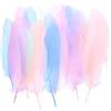 PATIKIL 200 Pezzi Piume D'Oca 4-7 Colori Assortiti Miscela Di Colori Tenui | Naturali All'Ingrosso, Piume Lunghe, Per Artigianato, Per Decorazioni DIY Acchiappasogni Cappello， Ghirlande