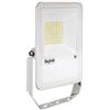 Beghelli 86152 Floodlight FL Proiettori da Esterno, 50W Bianco IP66 4K