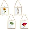 SUMTree Set di 4 cornici portafoto in vetro dorato da appendere, con catena, per albero genealogico, opere d'arte da parete, fiori pressati, collage, ecc., 7 x 7 cm