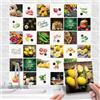 GREENWR 36 adesivi per piastrelle da cucina, in PVC con frutta, limone, verdura, impermeabili, resistenti all'olio, per piastrelle, armadi, decorazioni (verdure, 10 x 10 cm)