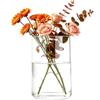 VASANA Vaso cilindrico in vetro trasparente alto 10,2 cm, vaso da fiori decorativo da tavolo, centrotavola, portacandele, vaso floreale idroponico per piante, bouquet, matrimonio, decorazione per la casa