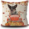 Generic Australian Cattle Dog Autunno Autunno - Cane Guidare Un'Auto Foglie d'Acero 2 Pezzi Federa Copri Microfibra Fodere per Cuscini Antimacchia Copricuscini Divano per Casa Letto Ufficio 45X45Cm