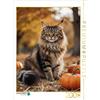 Calvendo Puzzle CALVENDO Un gatto Maine Coon siede tra le zucche in autunno e mostra il suo elegante carisma. | Puzzle da 2000 pezzi di dimensioni 90x67 cm per ore felici