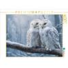 CALVENDO Puzzle Freundschaft kennt keine Jahreszeit | 1000 pezzi 64x48cm Puzzle fotografico per le ore felici