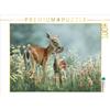 CALVENDO Puzzle Zart wie der Morgenwind | 1000 pezzi 64x48cm Puzzle fotografico per le ore felici