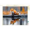 Calvendo Puzzle CALVENDO Una volpe curiosa su un tronco d'albero galleggiante, circondato da acqua ferma | Puzzle da 1000 pezzi 64x48cm Foto puzzle per ore felici