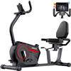 Selius Cyclette da interno Ligfiets - Resistenza magnetica con Bluetooth - Peso massimo supportato: 136 kg - Materiale: metallo - Ideale per l'allenamento cardiovascolare