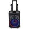 Selius Altoparlante portatile wireless - Trolley acustico con 2 microfoni