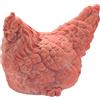 CERTRE Gallina CM.20