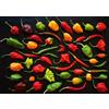 Ulmer Puzzleschmiede - Puzzle Fuoco colorato - Motivo moderno per cucina, spezie e peperoncini. Colori e contorni nitidi.