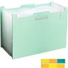 CHUANFU 13 Tasche Cartella Portadocumenti A4, Porta Documenti Espandibile, Raccoglitore Documenti con Etichette, Portatile Fisarmonica Cartelle a Soffietto Espandibili per Ufficio Scuola Casa, Verde