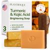 PLANTIFIQUE Sapone Esfoliante Curcuma - 3 Pezzi con Rete Africana | Scrub Viso e Corpo - Saponette Profumate - Detergente Solida Donna e Uomo - Turmeric & Kojic Acid Peeling Soap