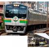 KATO 10-1643 E217 Tokaido 15 Car Special Set 1/150 N Gauge Japan Model...