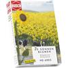 Busch H0 - Girasoli, 60 pezzi
