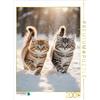 Calvendo Puzzle CALVENDO Due gattini Maine Coon si scatenano sulla neve e incantano con il loro sguardo curioso. | Puzzle da 2000 pezzi di dimensioni 90x67cm per ore liete