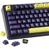 Selius Tasti per tastiera (keycaps) con 172 tasti, profilo SA, tecnologia "double shot", set di tasti con diverse varianti per il tasto "Space", compatibili con tastiere meccaniche