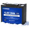 DC HOUSE DCHOUSE Batteria Litio 12V 30Ah Mini con Spegnimento a Bassa Temperatura | Puerto DC, 30A BMS, Max.15000 Cicli, 10 Anni di Vita, per UPS, il Giro sul Giocattolo, Passeggino, Pannello Solare, Campeggio