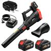Outsunny Soffiatore a Batteria 18V Soffiatore Foglie con 2 Batteria 4Ah | Motore Brushless 600W, 3 Livelli Velocità 149 km/h, Turbo Boost, 2 Tubi, Caricabatterie, per Giardino Foglie Neve Polvere
