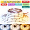 Tuya Striscia LED COB CCT da 608 LED al Metro DC24V 2700-6500K 5 Metri