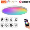 Tuya Plafoniera a Led 24W da Soffitto Smart Zigbee RGBCW Ultrasottile