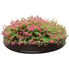 Outsunny Letto per Orto Rialzato Fioriera da Esterno 123x21cm Marrone | Plastica HDPE, Rotonda, per Verdura, Fiori e Piante