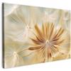MuchoWow© Quadri Camera Da Letto Stampe Da Parete Quadro Su Tela Moderni | 120x80 cm - Decorazioni Murali Soggiorno Foto Quadretti Ingresso Casa Muro Dente di leone - Beige - Astratto - Moderno