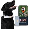 PAJ GPS PAJ Localizzatore GPS 4G Cani - 3Mesi Abbonamento Premium Incluso-Grigio | Adatto tutti i Collari - Tracking RealTime - Fino 10gg in MOD. Risp. Batteria - Suoni Richiamo & Allarme Fuga - Impermeabile