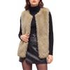 HEEKPEK Gilet Donna in Pelliccia Sintetica Cappotto Senza Maniche Invernale | Giubbino Senza Maniche Elegante, Gilet Soffice Donna Caldo Morbido Peloso, Autunno Smanicato con Tasches