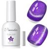 PEACECOLOR Smalto Semipermanente Unghie Cat Eye Magnetico, Viola Smalto Unghie con Magnete, Smalti Semipermanenti per Unghie Soak Off UV/LED, 10ML