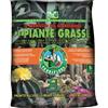 Terriflora Terriccio per Piante Grasse 5L - Substrato Nutriente e Drenante