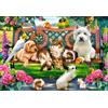 Castorland CSC104406 - Puzzle vari