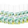 Batiste Shampoo Secco, originale, rinfresca i capelli e dona volume, assorbe il sebo in eccesso, senza risciacquo, 50 ml (set di 6)
