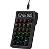 Selius Tastiera numerica RGB cablata, con tasti meccanici, 22 tasti e display a 10 cifre