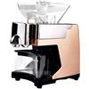 BankiE Mini frantoio elettrico, doppia modalità di spremitura calda e fredda, frantoio per olio d'oliva con riscaldamento a temperatura controllata, adatto per uso commerciale/domestico 220 V,Gold