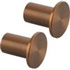 SAYAYO Ganci Accappatoio Bagno Ganci Appendiabiti 45 MM in Acciaio Inox | Appendi Strofinacci Cucina Grande Gancio da Parete Appendi Accappatoio Bagno, Oro Rosa Lucido, Capacità Carico 15 kg, 2 Pezzi