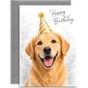Olivia Samuel Biglietto di auguri di compleanno Golden Retriever dal cane per papà, mamma, moglie, marito, design con disegno di cane, formato A5, con busta grigia, progettato e stampato nel Regno Unito