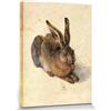 1art1 Albrecht Dürer Poster Stampa Artistica su Tela Giovane Lepre, 1502 Quadro da Parete sulla Barella | Murale XXL | Immagine 40x30 cm