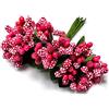 GIVBRO 24pcs Stami Fiore di Natale Pistillo Floreale Centro Decorazione per Simulazione Fiore Nylon Calze Fiore Fare Accessori (#A)
