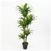 Lemag srl Lemag Dracena Artificiale 150 cm con Vaso - Pianta Finta da Interno con 3 Tronchi e 146 Foglie - Aspetto Naturale, Zero Manutenzione - Casa, Ufficio, Reception, Negozi e Hotel