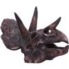 Nemesis Now Statua di teschio di dinosauro - Regali e decorazione per gli appassionati di paleontologia e collezionisti - Fossile di dinosauro in resina dipinto a mano - Triceratopo