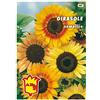 MONDONATURA SRL Semi Girasole Nano, altezza max 1 metro,Mondonatura Srl