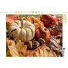 Calvendo Zucca, mele, ghiande e foglie d'autunno 1000 pezzi puzzle paesaggio 640x480 mm, Stewart Lustig Daniel; 7367722