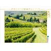 Calvendo Vigneto Calvendo presso San Gimignano, puzzle da 1000 pezzi, formato orizzontale 640x480 mm, Gann (magann) Markus; 7412660