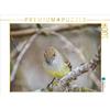Calvendo Pigliamosche 1000 Pezzi Puzzle paesaggio 640x480mm, Leonhardy Thomas; 7375289