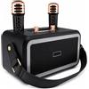 MAKA Cassa Bluetooth 40W Ricaricabile Vintage Karaoke 2 Microfoni RGB Radio FM