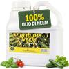 I Consigli Dell'Esperto Olio di Neem Puro per Piante 3 Litri Concentrato - Fa 150 Litri al 2% | I Consigli dell'Esperto, dal 1984 - 100% olio di neem spremuto a freddo - Formato per orti, frutteti e aziende agricole